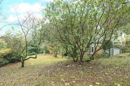 1376562-51-69137e...