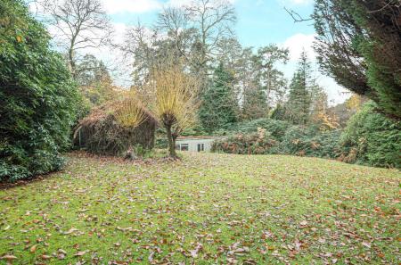 1376562-45-69137d...