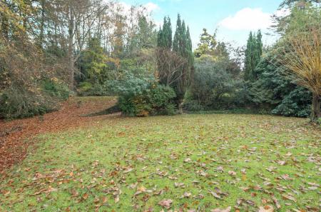 1376562-44-69137d...