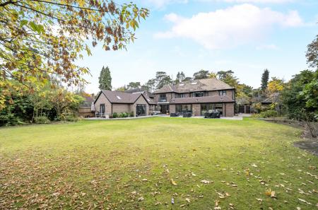 1364053-6-68ed2fb...