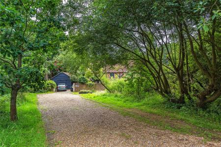 Driveway Approach