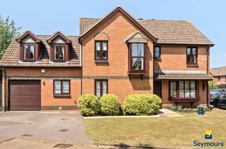 Front Aspect