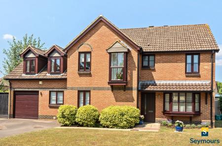 Front Aspect