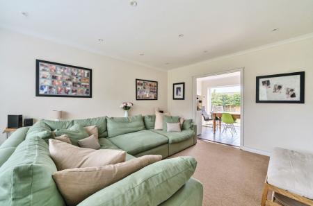 1313556-15-685c3d...