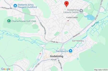 Google Maps Image