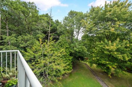 1341863-6-68a71a7...