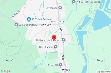 Google Maps Image