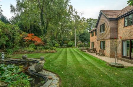 1364716-5-68f22bf...