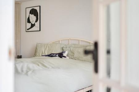 1382210-19-691739...