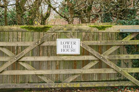 1389384-1-693fffd...