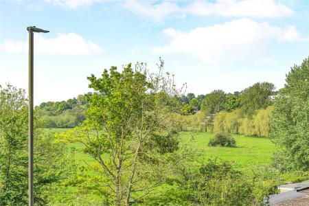 Water Meadows
