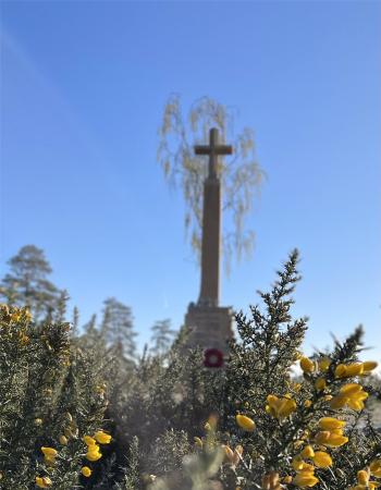 Cross