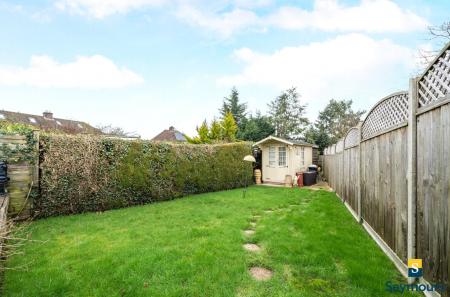 Lawn