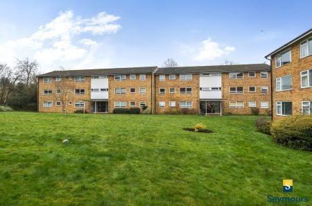 Communual Grounds