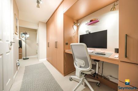 Study Area