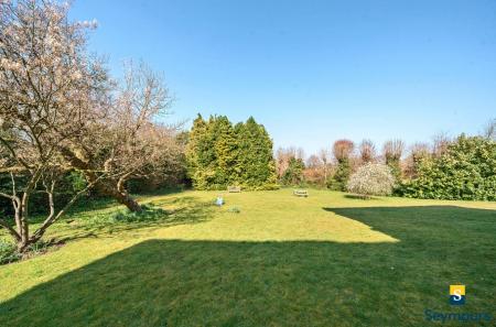 Communal Grounds
