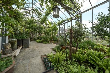 Indoor Plants