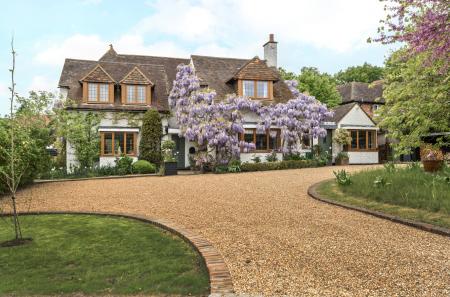 Wisteria Clad