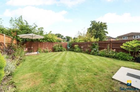 Lawn