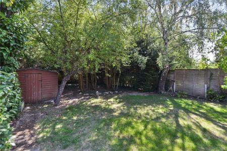 Garden 2