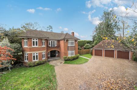 1381043-8-69134cc...