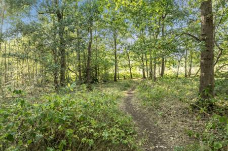 1339886-1-689b69d...