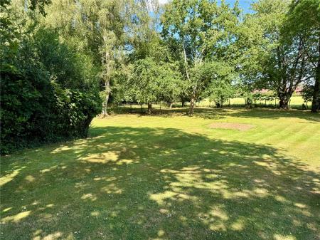 Front Side Garden