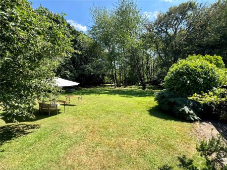 Side Garden