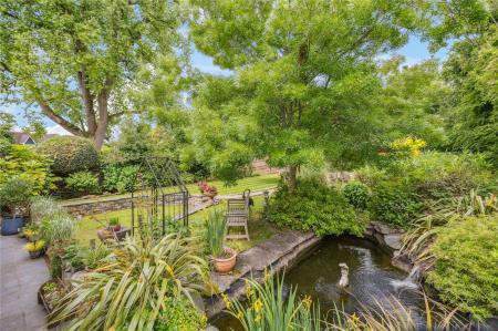 Pond and Garden