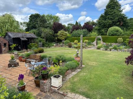 Patio and Garden