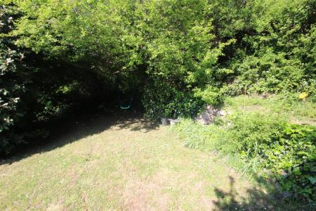 IMG_9534.JPG