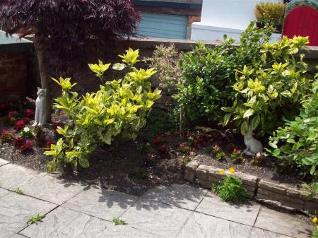 1 Caradog Shrubs & Flowers 1.JPG