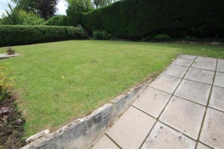 IMG_9918.JPG