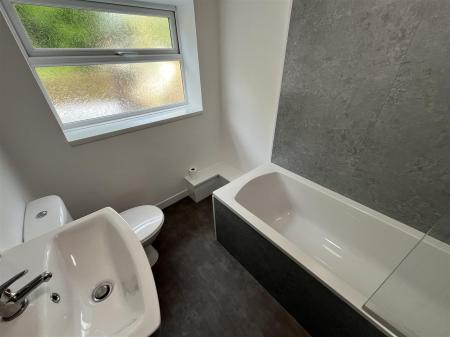 3 Stat Ter IMG_8472.jpg