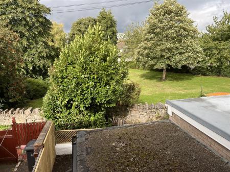 3 Stat Ter IMG_8476.jpg