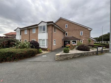 72 Maaor IMG_8543.jpg