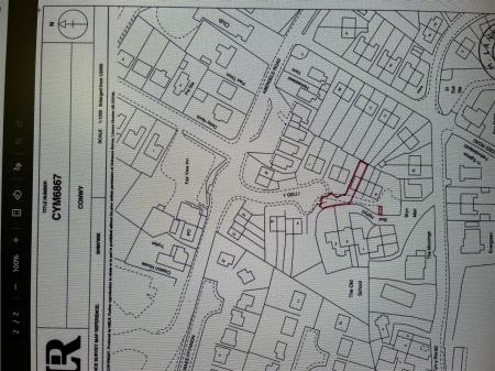 5 y gelli IMG_8668.jpg