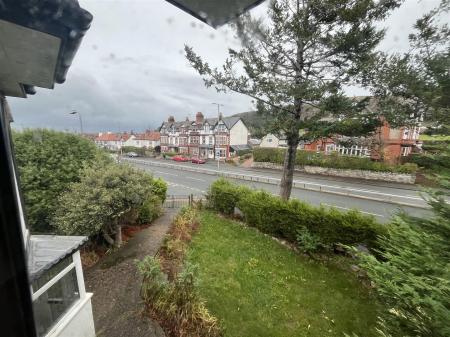 The Brow IMG_8935.jpg