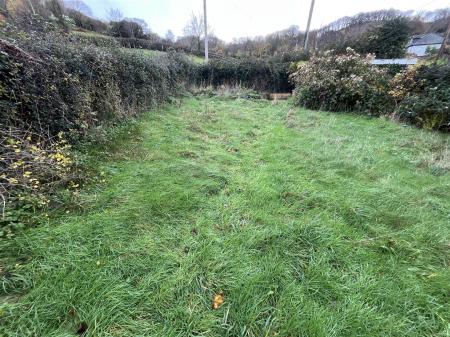 The Briars IMG_8961.jpg