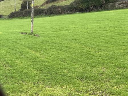 The Briars IMG_8950.jpg