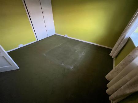 Denness IMG_9146.jpeg