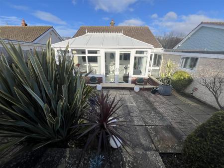 27 Bryn Lup IMG_9276.jpeg