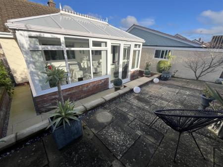 27 Bryn Lup IMG_9278.jpeg