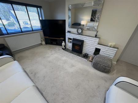 27 Bryn Lup IMG_9286.jpeg