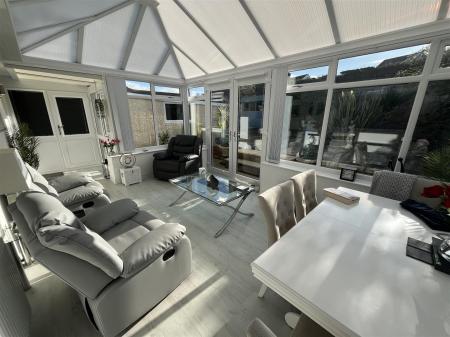 27 Bryn Lup IMG_9274.jpeg