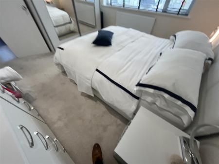 27 Bryn Lup IMG_9283.jpeg