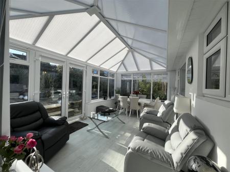 27 Bryn Lup IMG_9273.jpeg