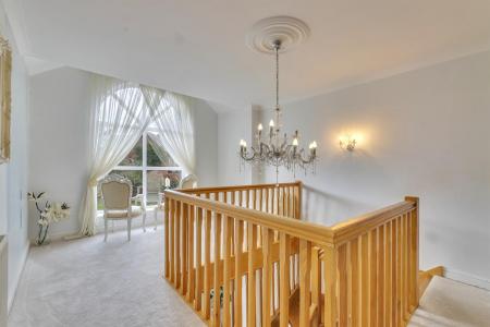 Dwynwen DSC_0179.jpg