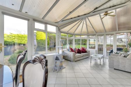 Dwynwen DSC_0210.jpg