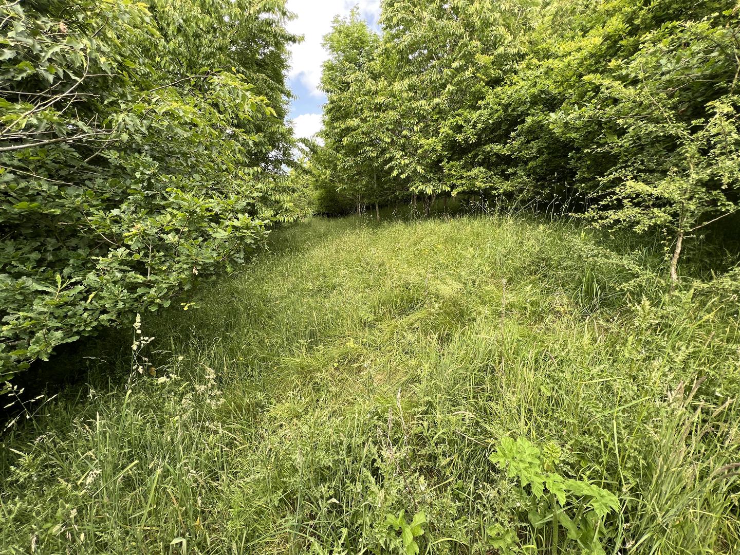 Land for sale in Longhope